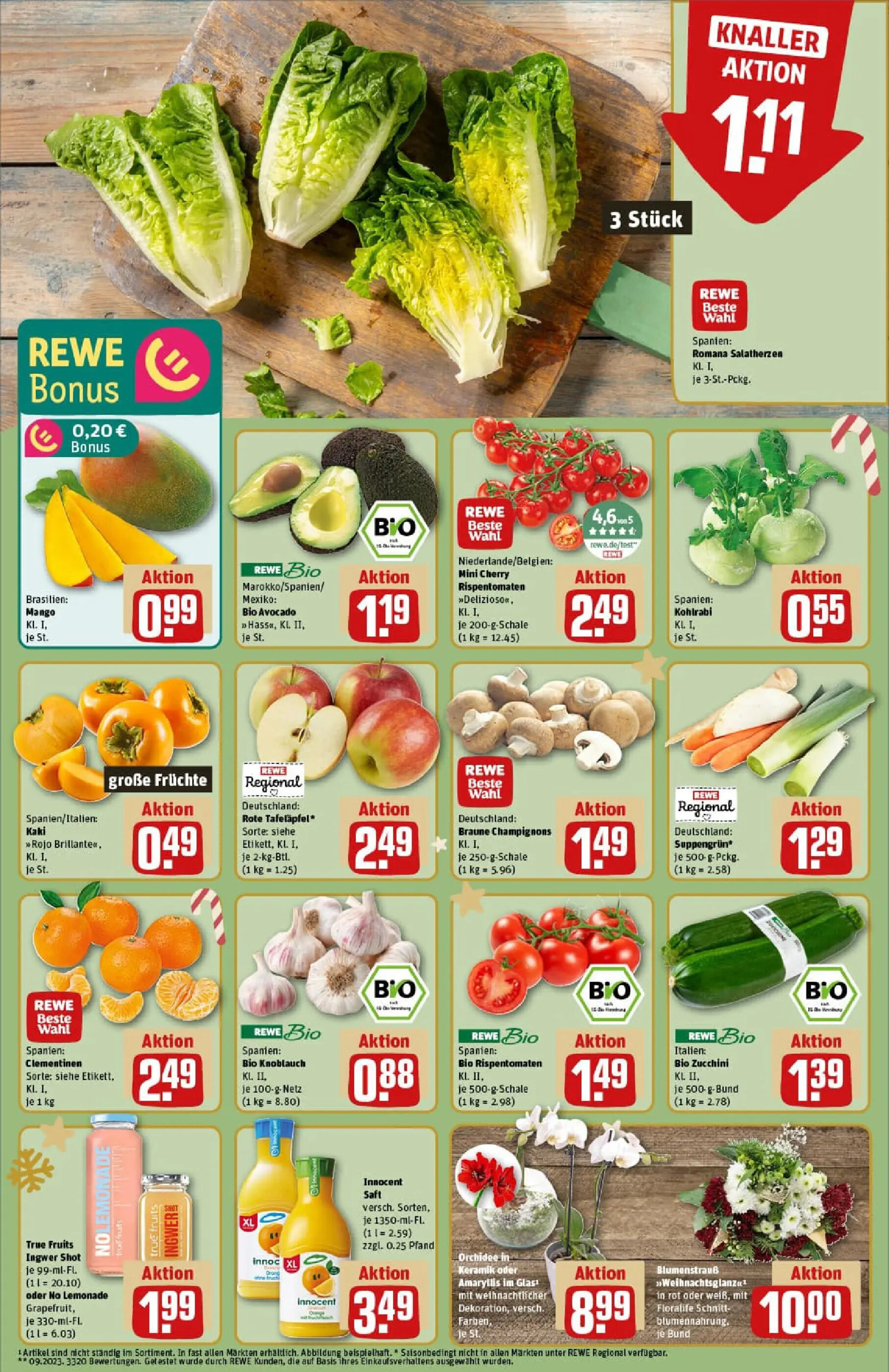Rewe 12 1 692bf98f19c03